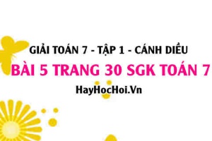 Giải bài 5 trang 30 Toán 7 Tập 1 SGK Cánh Diều